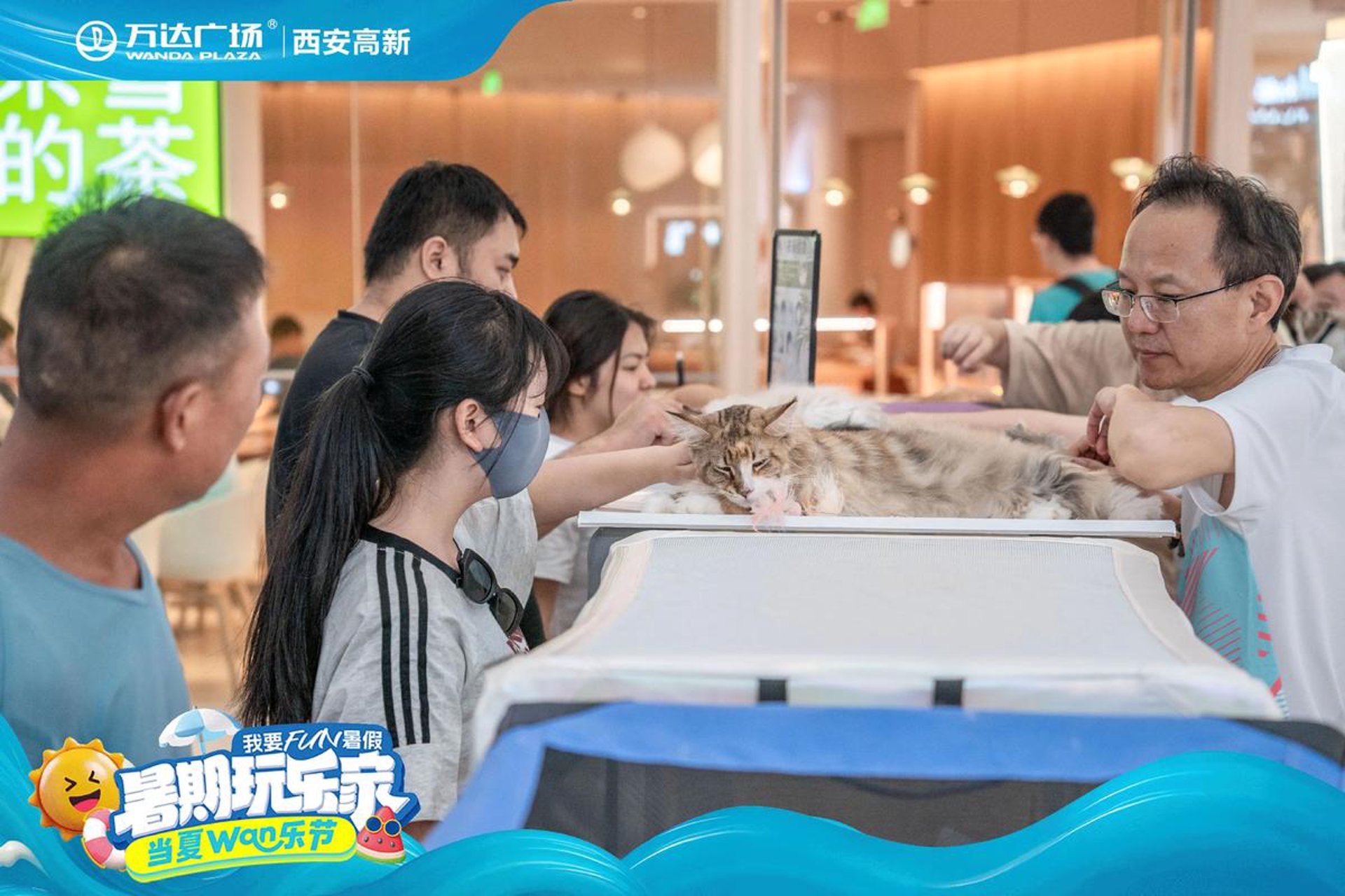 握爪宠物
