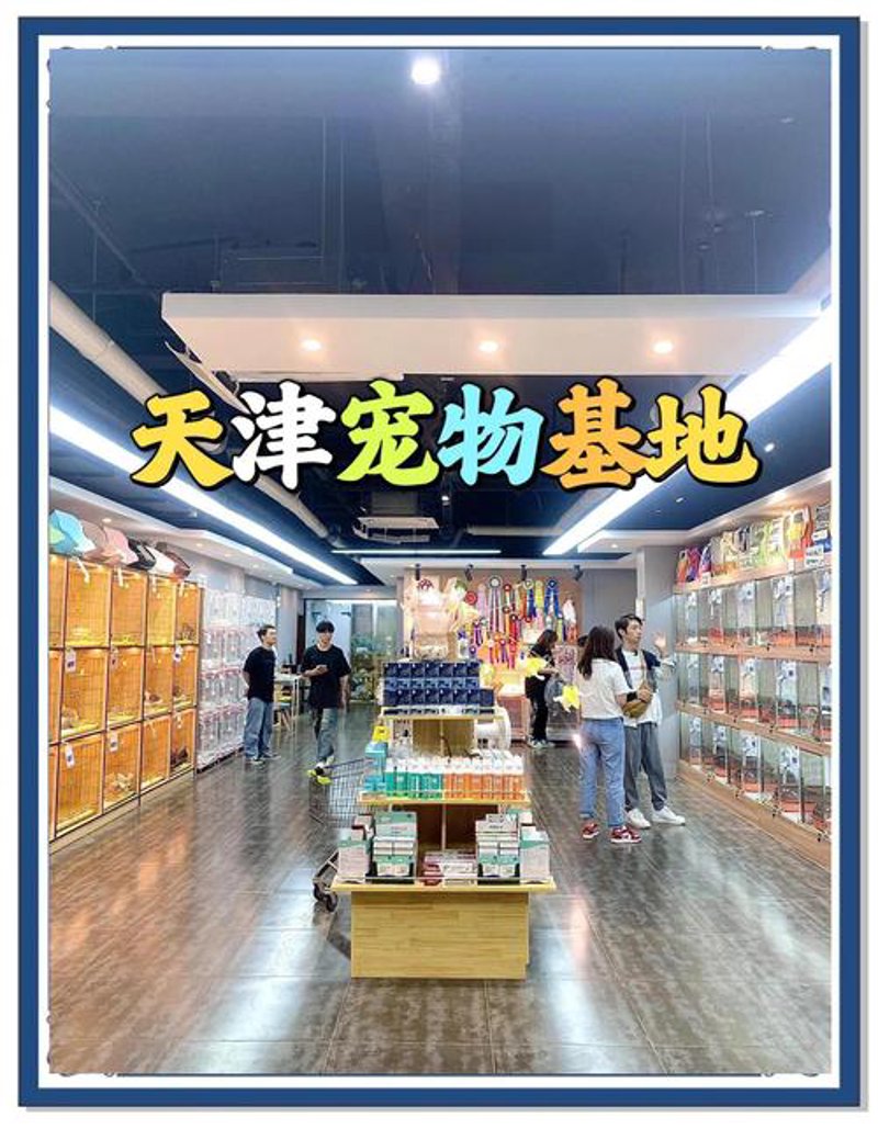 宠物零食市场动态：探索批发新风向