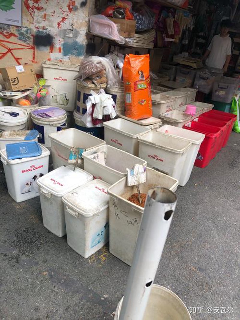 宠物玩具批发:走进宠物行业的甜蜜生意