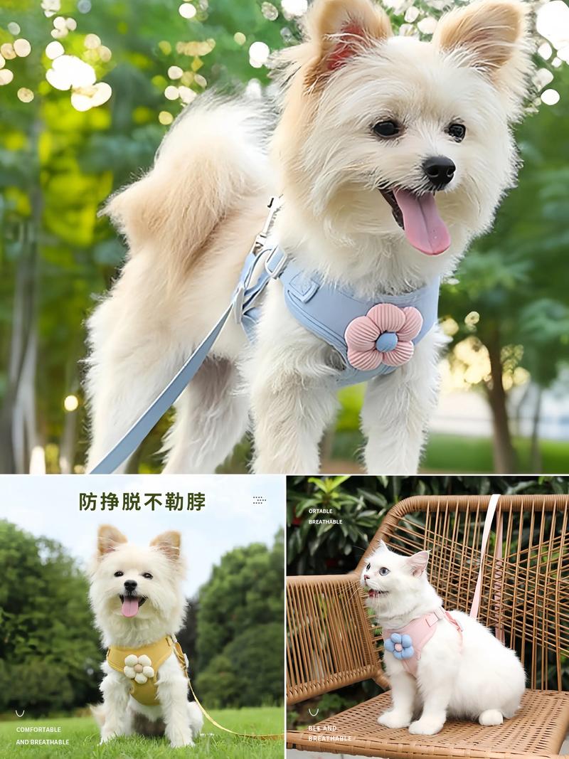 湖北宠物用品批发